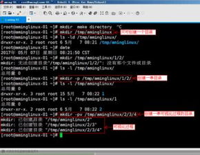 重庆引序科技 引领技术推广，打造卓越网站建设与策划设计